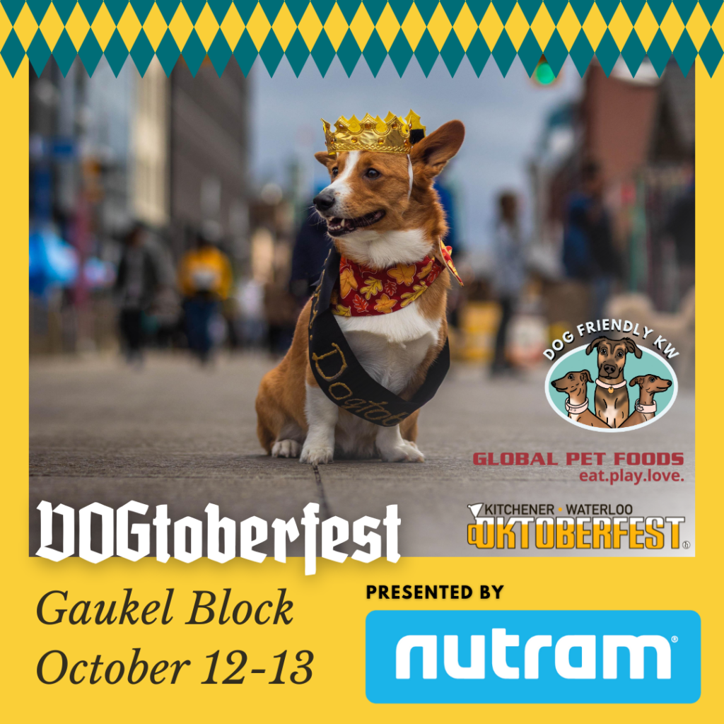 Dogtoberfest 2024